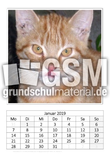 April_Hauskatze.pdf